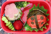 春の遠足