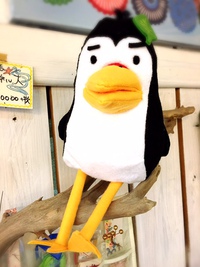 ひらりよ商店のおニュースタッフのユキオです