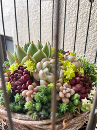 かわいい〜