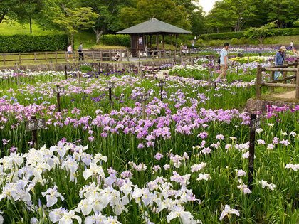 ナガレ山古墳