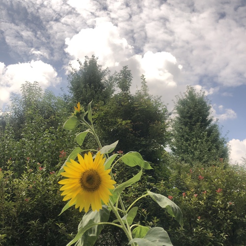 夏〜❗️