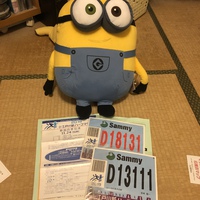 走れるのか⁉️