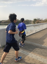 今週末は42.195