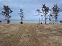 歩いて1分の浜＠ハイビスカス 2012/04/19 16:15:50