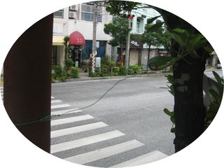 台風対策！