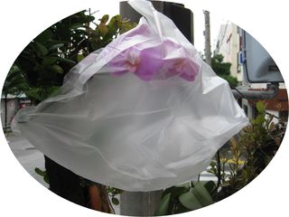 台風対策！