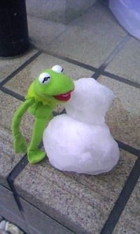 雪降りました！ 2012/01/24 12:16:48