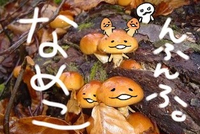 今日見た夢 2012/02/01 19:13:12