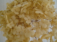 ・・・　ユニット名　・・・ 2008/12/05 23:53:59