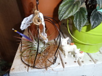 仕事初め 2013/01/04 14:55:08