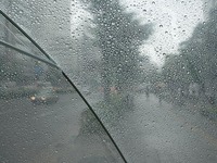 雨・・・ 2009/11/13 08:33:00