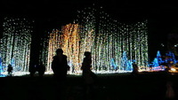 クリスマスイヴ・・・ 2009/12/24 19:30:00