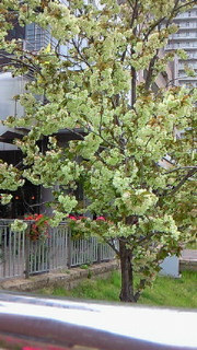 北九州へ 2010/04/11 13:30:00