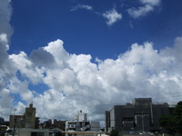 な、なんで～？？ 2010/07/20 11:09:13