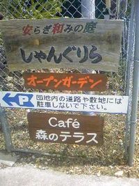 カフェ森のテラス