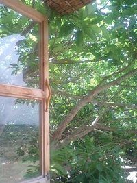 9月の･･･。 2010/09/14 21:07:42