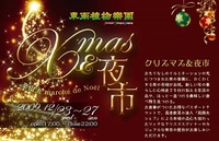 東南植物楽園 Christmas & 夜市　 2009/12/15 19:40:56