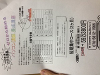 11月1日の記事