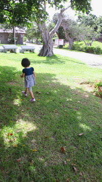 デート 2012/05/29 12:45:19