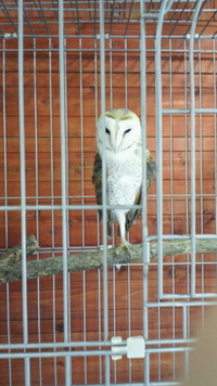 ミニミニ動物園