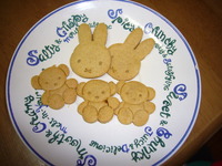食アレクッキー 2009/11/06 22:36:55