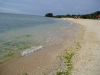 大忙し 2010/03/05 15:28:51