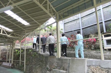 緑化推進✿視察団体✿沖縄県✿沖縄市✿