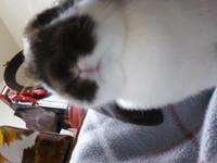 おはようごさいます 2011/03/22 05:43:21