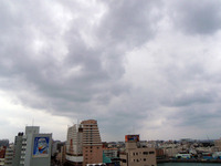 2010/01/06 2010/01/06 15:41:58