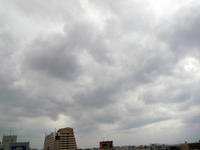 2010/01/12 2010/01/12 15:24:56