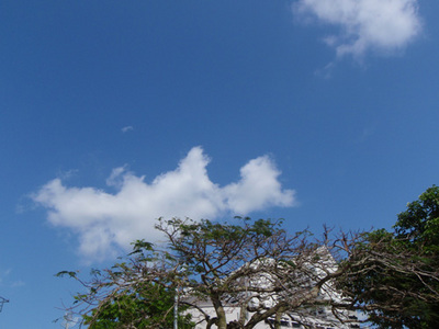 2009/05/07