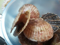 北海の幸 2011/12/14 07:48:42