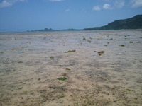 海、散歩。 2012/03/22 15:22:09