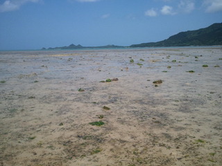 海、散歩。
