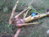 きっかけは、台風。 2012/09/29 17:11:25
