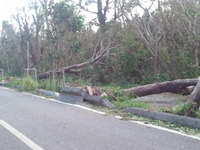 台風一過 2012/10/01 06:38:56