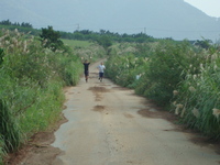 走れ！崎枝路を 2011/11/24 11:03:26