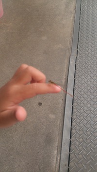 隼人に 2013/08/09 21:35:01