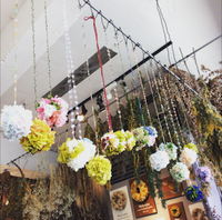 POMPOM♪ 2017/05/09 14:07:17