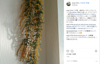 enpitudoフォトコン当選者の発表です♪