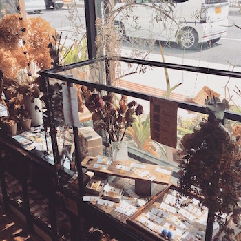 ミモザッカ展vol.2 & フォトコン本日まで♪