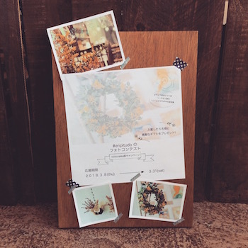 ミモザッカ展vol.2 & フォトコン本日まで♪