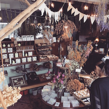 ミモザッカ展vol.2 & フォトコン本日まで♪