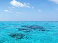 透き通る海