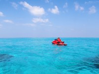 透き通る海