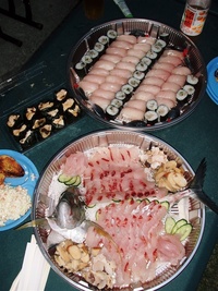 ツアーの釣果