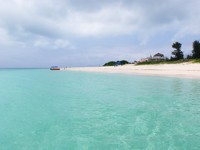 癒しの海
