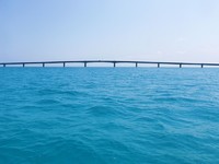 見えてきた