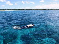 魚はどこに・・