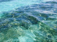 この海の色は何？